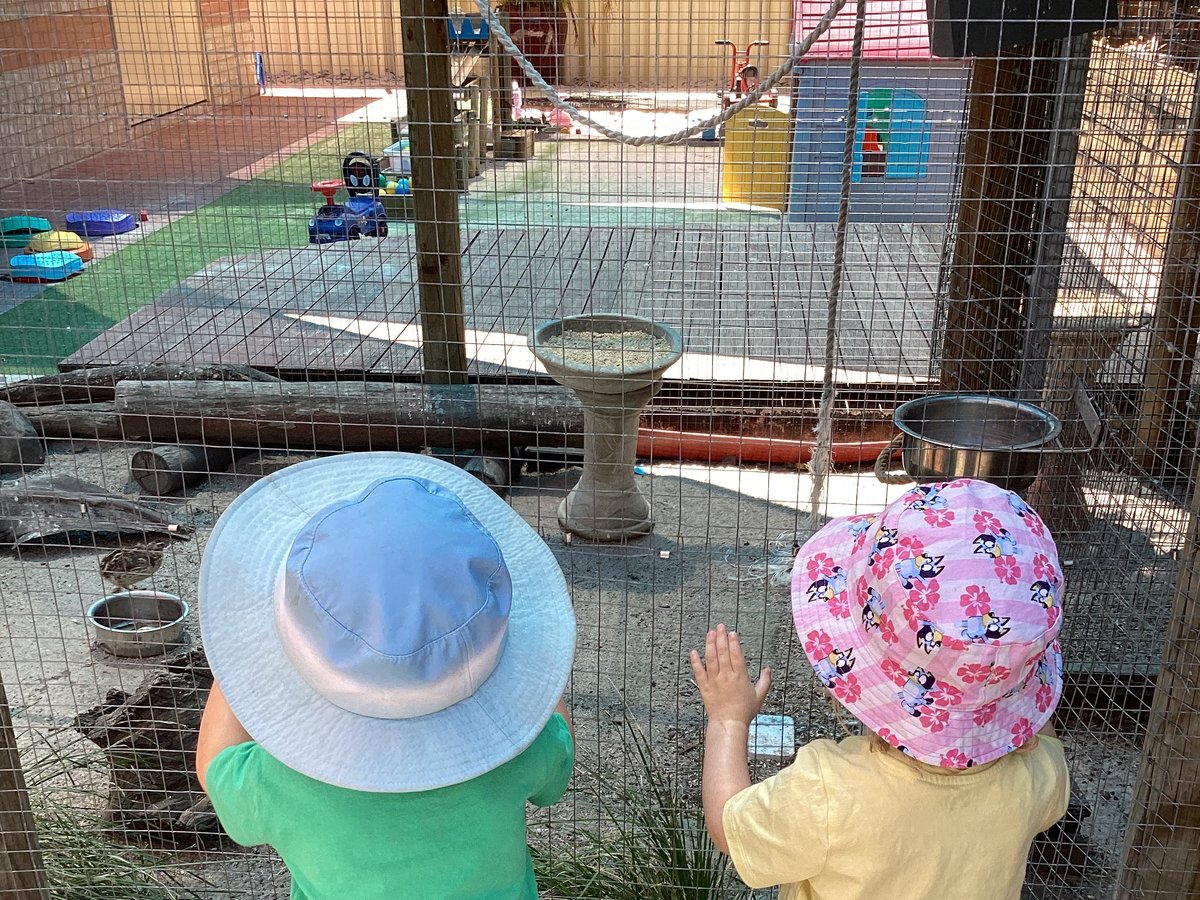 Toddlers observing the wider outdoor play environment from the aviary fence