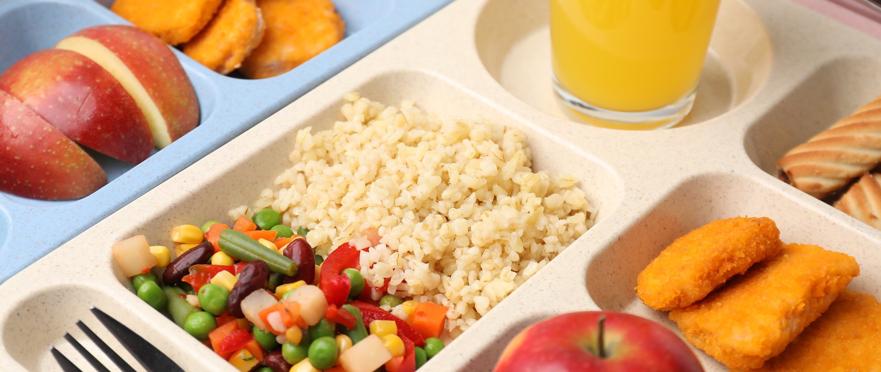 A balanced meal of brown rice, mixed vegetables, protein, fresh apple and juice on a kids' lunch tray