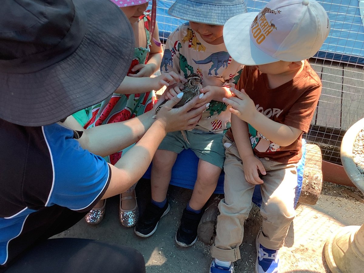 One of our educators sharing a quail with a small group of curious children